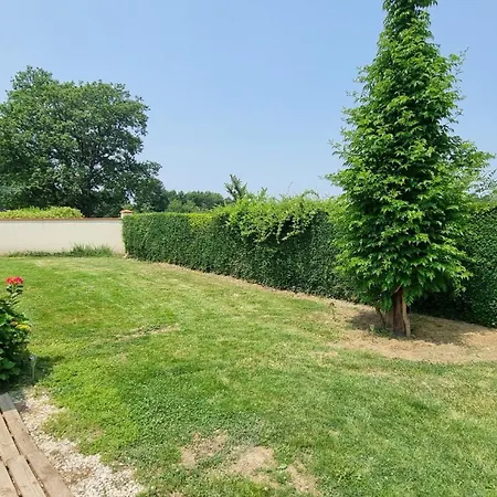 Lägenhet L'instant Campagne - Cosy Avec Jardin Meauzac